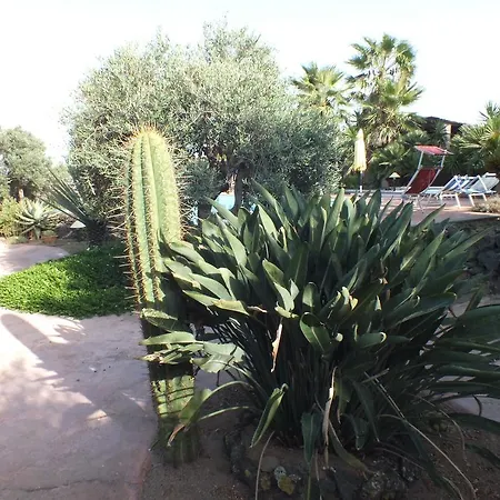 Holiday home Dammusi Bernardo Pantelleria